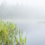 Fog on Lake